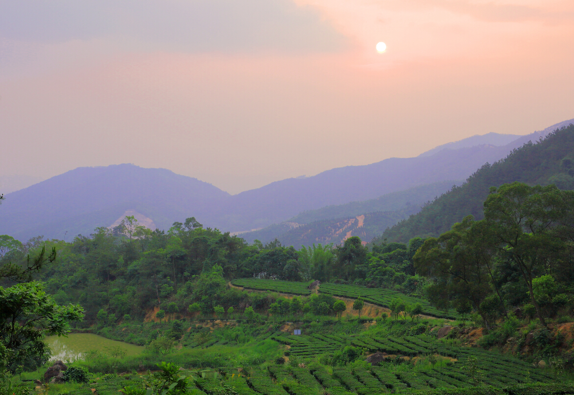 揭东区将举行首届乡村旅游文化旅游节